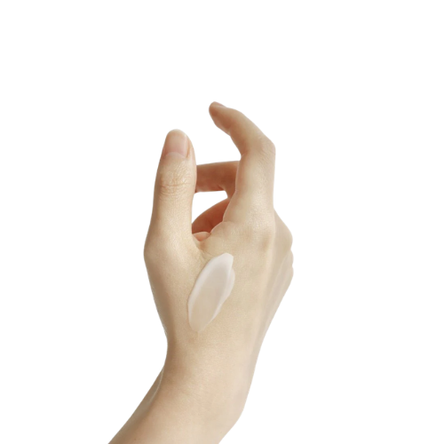 Beauty of Joseon Dynasty Cream 100ml crema facial coreana hidratante y nutritiva